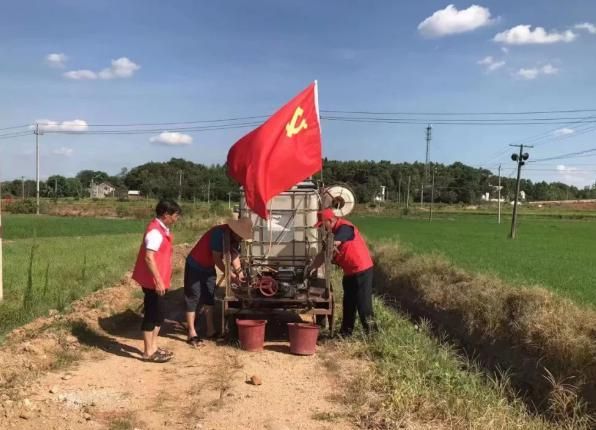 宁乡道⑬｜强党建 “宁”聚力（上）：“三亮三比”践初心 最是担当显本色