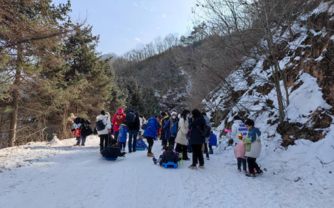 凤县下雪了吗