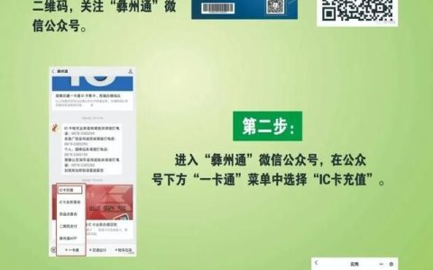 楚雄公交车卡学生卡怎样挂失,楚雄办理公交车卡需要多大的照片