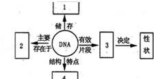 2023—2024学年人教版八年级生物上册期末试卷（含答案解析）