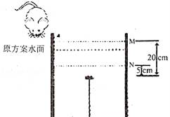 2023—2024学年人教版八年级生物上册期末试卷（含答案解析）