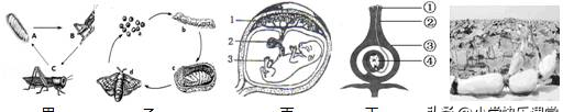 2023—2024学年人教版八年级生物上册期末试卷（含答案解析）