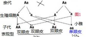 2023—2024学年人教版八年级生物上册期末试卷（含答案解析）