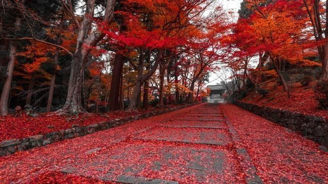 有哪些最走心的现实短句子图片(人生最现实的句子8个字短句)