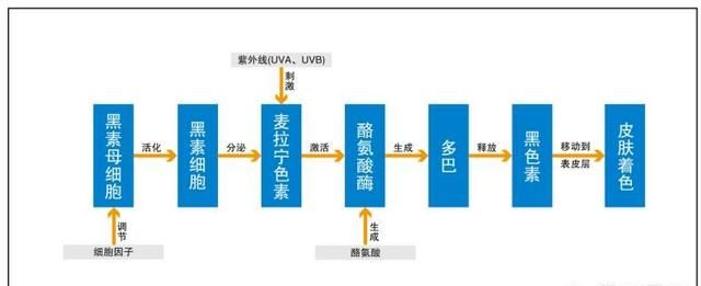 怎样才可以让自己的皮肤变得白一点呢图2