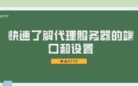 使用ip代理前,快速了解代理服务器的端口和设置