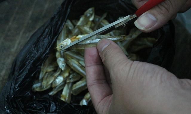 广西北海有什么不可错过的美食(广西北海美食探店)图24