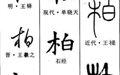 柏这个字在姓中念什么,寿州市柏家寨柏姓