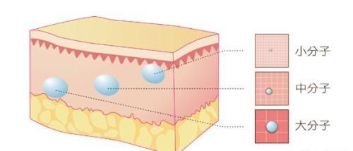 玻尿酸到底是啥,玻尿酸填充到底好不好图7