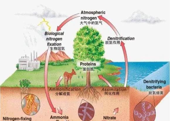 土壤中的农药残留怎么消除图3