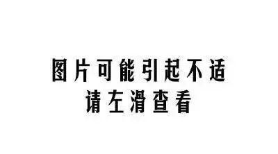 注意！家里出现这种虫子的翅膀要小心了！