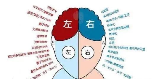 反应迟钝是什么原因,人反应迟钝是什么原因图9