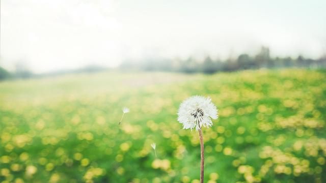 仙到爆炸的网名，你被人误解到爆炸的事情有哪些呢图2