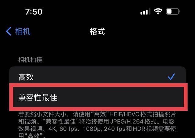 还不会用iphone拍照？傻瓜级教程来了，一招学懂出大片