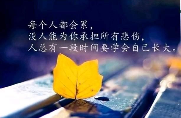 如何保持良好心态图6