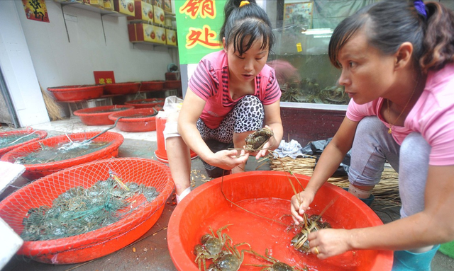 买螃蟹时，遇到公蟹和母蟹怎么选？蟹农解析：分清时间节点很重要