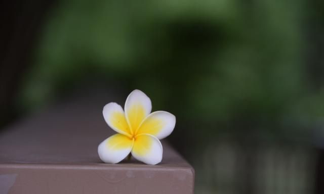 闲看花开，静待花落；冷暖自知，干净如始；岁月静好，浅笑安然