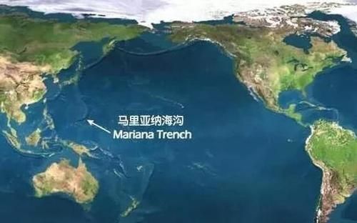 海洋生物资源最丰富的是哪个大洋图1