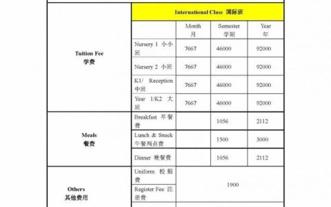 济南有什么国际学校