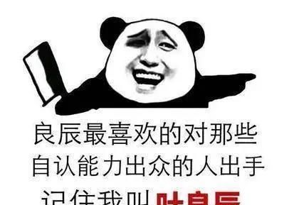 我叫叶良辰，西出阳关无故人，记住我叫叶良辰！