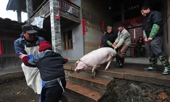 杀生结局什么意思，常年杀生的屠夫都是什么结局啊