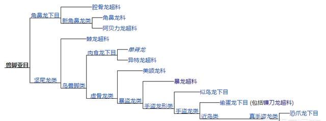 恐龙有几种