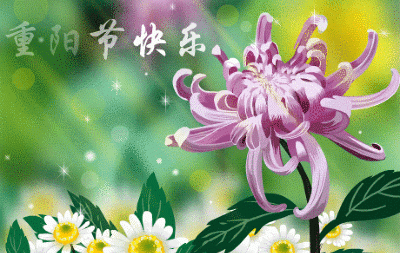 2019重阳节最新最全经典祝福语 九九重阳节祝福老人的健康吉祥话